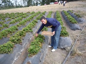 101 USA California Coast