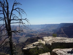 215 USA Grand Canyon