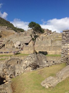 Machu Picchu