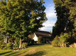 Frutteto... Luogo del concerto