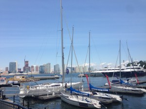 Hudson River e New Jersey sullo sfondo