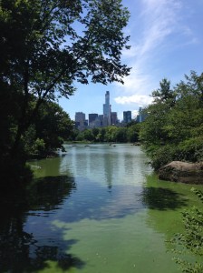 Central Park