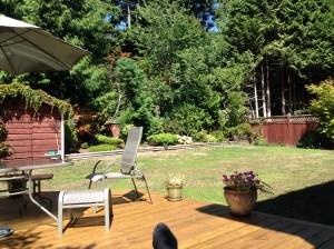 Sally and Roger's backyard