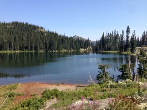 Stagleap Provincial Park, verso Fernie