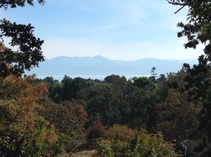 USA sullo sfondo. Dai giardini della Governor's house