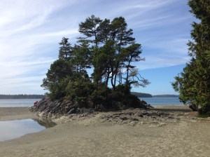 Tofino 