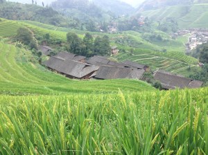 Villaggi tra le risaie