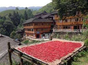 Peperoncino ad essiccare