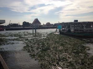 Lungo il fiume