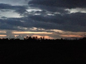 Tramonto nella giungla