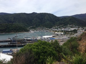 Picton