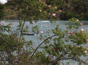 Lungo il fiume Clutha