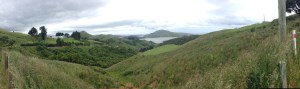 Otago Peninsula